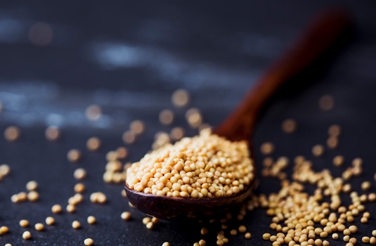 Mustard seeds for cold, flu, rheumatism (folk recipes)