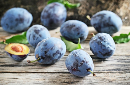 Plums for anemia and for strength immunity