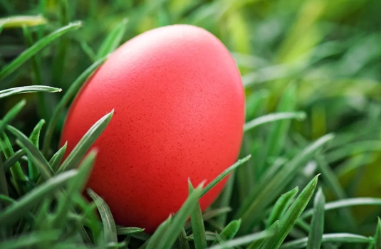 Боядисване на Великденски яйца с корени от Брош