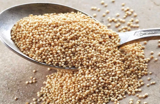 Amaranth - health benefits and nutritional values