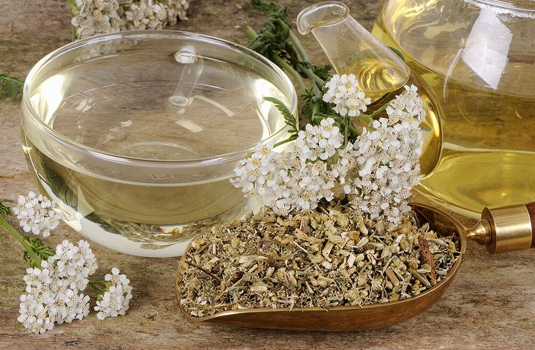 Yarrow and mint tea for good digestion and healthy teeth