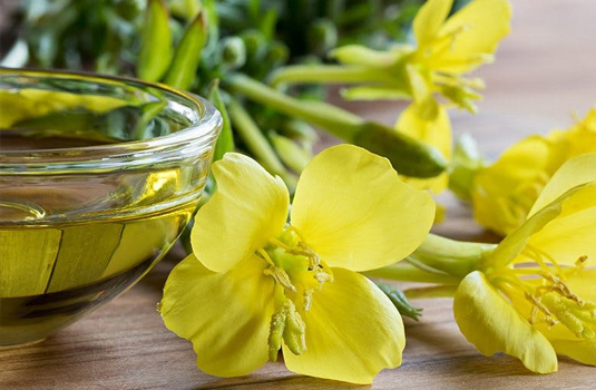 Evening Primrose Oil - Health Benefits and Uses