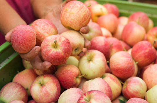 10 лечебни свойства на ябълките, за които не знаете