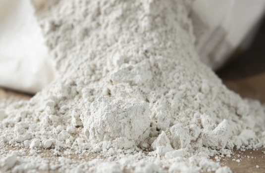 More uses of Diatomaceous earth