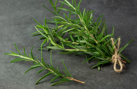 Rosemary - king of herbs