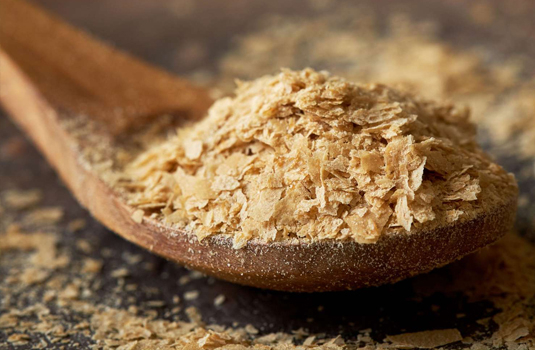 Nutritional yeast - a source of the nine essential amino acids