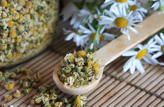 Chamomile - the ancient herb with many health benefits