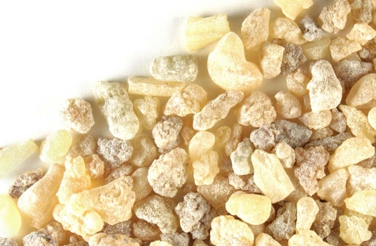 Boswellia - the plant that helps for healthy joints and muscles