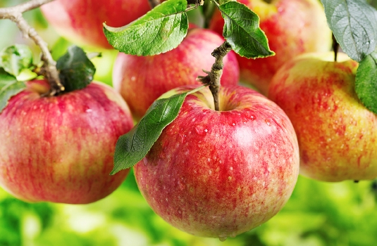 Apple pectin - a valuable assistant in many diseases!