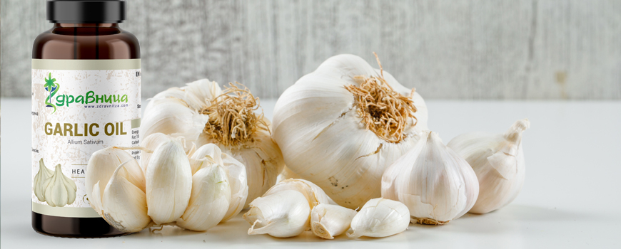 Garlic - health benefits and application
