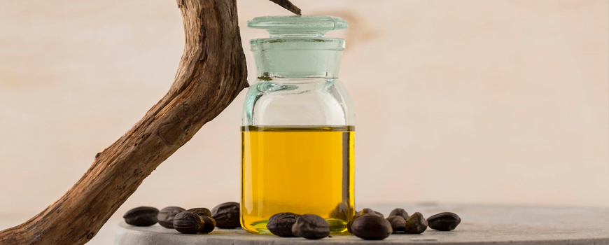 What are the most valuable plant oils? (part 1)