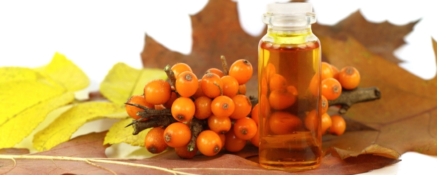 Sea buckthorn oil - natural remedy for many diseases