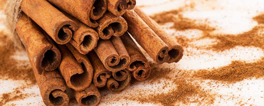 Cinnamon - one of the oldest spices in the world