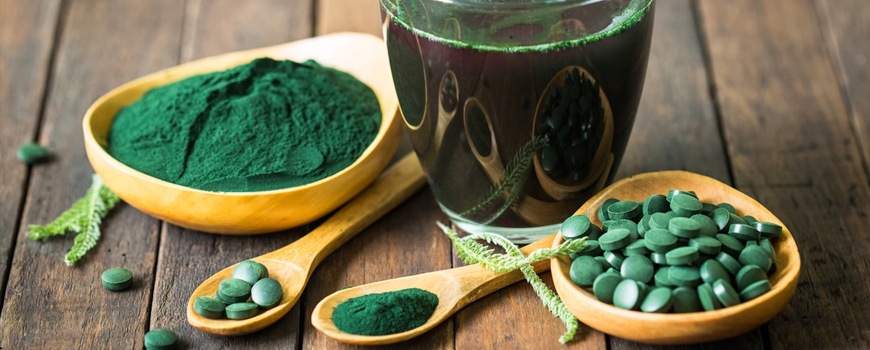 Spirulina protein is comparable to egg yolk