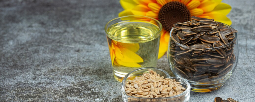 The medical benefits of sunflower (folk recipes)