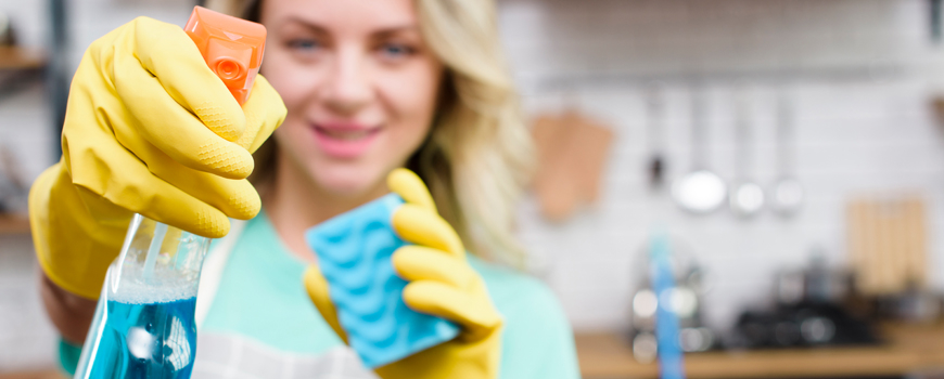 New at Zdravnitza: Natural Home Care for a Healthier Home