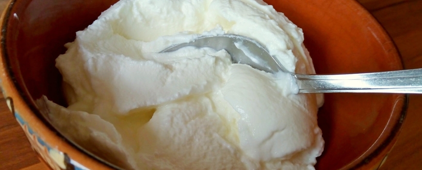 История и полезни свойства на българското кисело мляко