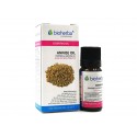 Annise, pure essential oil, Bioherba, 10 ml