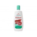 Anti Dandruff shampoo, Hristina, 400 ml