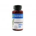Astragalus - root extract, Bioherba, 100 capsules