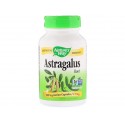 Astragalus root, Nature's Way, 100 vegetarian capsules