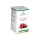 Cranberry - leaves, Greenset, 90 tablets