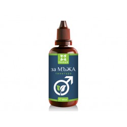 Men's health, herbal tincture, Panacea, 100 ml
