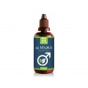 Men's health, herbal tincture, Panacea, 100 ml