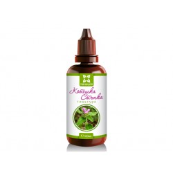 Wild basil, herbal tincture, Panacea, 100 ml