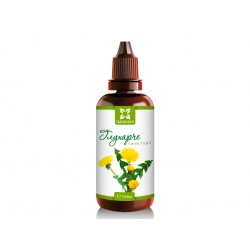 Dandelion - root, herbal tincture, Panacea, 100 ml