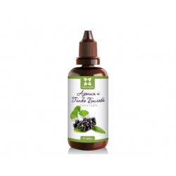 Aronia and Ginkgo biloba, herbal tincture, Panacea, 100 ml