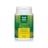 Pine Pollen powder, Panacea, 70 g