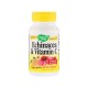 Echinacea and Vitamin C, Nature's Way, 100 capsules