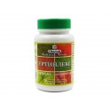 Urtiplex, for urticaria, allergies and hay fever, Charak, 100 tablets