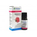 Geranium, essential oil, Bioherba, 10 ml