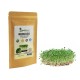 Broccoli, sprouts seeds, Zdravnitza, 50 g