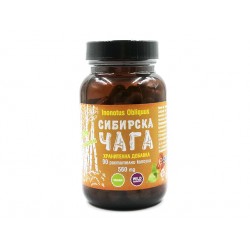 Siberian Chaga, extract, 90 vegetable capsules