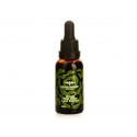 Olive Boost, Greek Wild Olive Leaf Extract, 30 ml
