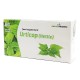 Urtikap, nettle extract, 60 capsules