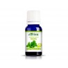 Pure Peppermint essential oil, Eterina, 10 ml