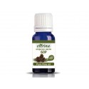 Pure Pine essential oil, Eterina, 10 ml