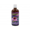 Echinacea, vacuum plant extract, Bilkaria, 100 ml