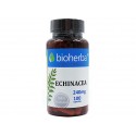 Echinacea, immunity support, Bioherba, 100 capsules