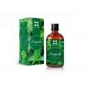 Nettle, herbal tincture, Panacea, 100 ml