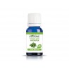 Pure Basil essential oil, Eterina, 10 ml