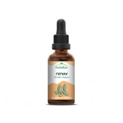 Guggul, herbal tincture, maintain cholesterol, 50 ml