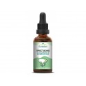 Prostaono, herbal tincture, Endocrine and Reproductive system, 50 ml