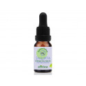 Aroma blend - Protection against mosquitoes, Eterina, 10 ml