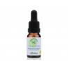 Aroma blend - Protection against mosquitoes, Eterina, 10 ml