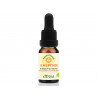 Aroma blend - Energy, mood support, Eterina, 10 ml.
